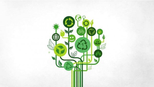 Tous consommateurs impactants et responsables